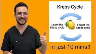 Master Krebs Cycle in just 10 mins [upl. by Allister593]