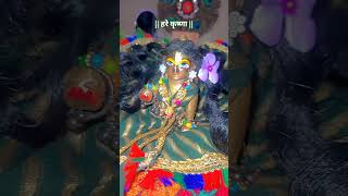 हरे कृष्ण हरि बोल 🧿❤️राधेकृष्णा laddu ladlamadhav laddugopalmadhav shyam krishnashorts [upl. by Aohsoj32]