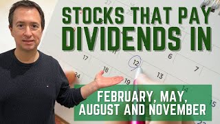 Top Dividend Stocks That Pay Dividends in February May August and November [upl. by Ihsar784]