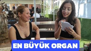 İNSAN VÜCUDUNDAKİ EN BÜYÜK ORGAN HANGİSİDİR [upl. by Ecnarwal]