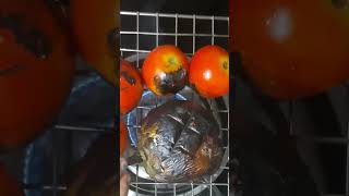 Tamatar Baingan ChoKha Recipe Bihari dishBihari recipe indianfood shorts [upl. by Airrehs232]