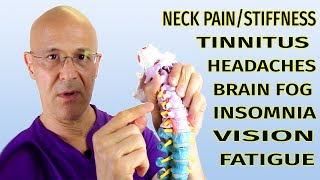 This Neck Technique Can Change Your LifeNeck Pain Tinnitus Headaches Brain Fog Dr Mandell [upl. by Eikcor]