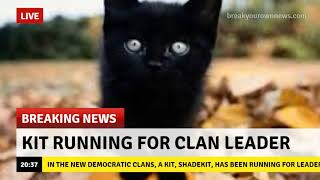 Funny Warrior Cat Memes 3 [upl. by Acinnod104]