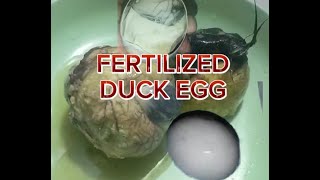 🌈🌈🌈BALOTCracking Fertilized duck egg🥚asmr yummy egg🥚🥚🥚🥚 [upl. by Ysied]