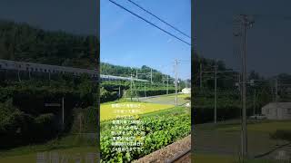 豊橋東京、普通列車で5時間 Toyohashi Tokyo by ordinary train 🚃 [upl. by Ras]