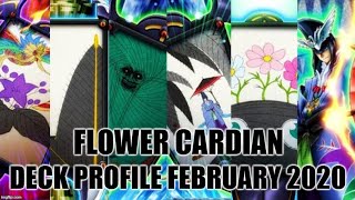 FLOWER CARDIAN DECK PROFILE FEBRUARY 2020 YUGIOH [upl. by Pradeep]