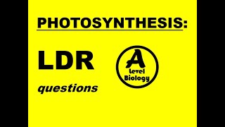 PHOTOSYNTHESIS LIGHT DEPENDENT REACTIONS  GRAPHS  EXAM QUESTIONS [upl. by Ahcsas]