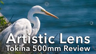 Artistic 500mm Tokina Lens Review [upl. by Alliuqahs]