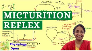 Micturition reflex physiology with cystometrogram  Renal Physiology MBBS 1st year lectures [upl. by Schlenger]