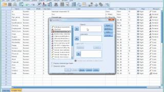 SPSS Tutorial 6  Introducing Crosstabulation [upl. by Latrina650]