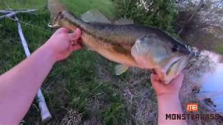 How To Use A ZARA SPOOK JR To Catch BIG BASS  45lb on a yum Dinger [upl. by Micky]