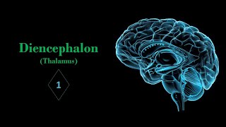 Introduction of diencephalon and thalamus Prof Ashfaqur Rahman [upl. by Ilohcin]