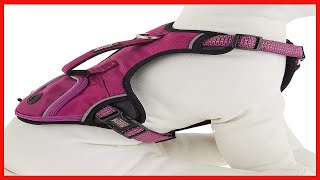 Dog Harness Kong Reflective Pocket Large Pink [upl. by Rushing890]