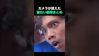 カメラが捉えた面白い瞬間まとめ🤣🤣🤣 [upl. by Ramso]