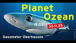 quotPlanet Ozeanquot Ausstellungstrailer  Verlängerung bis 30112025 [upl. by Siskind463]