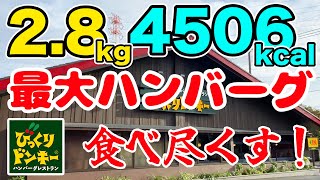 びっくりドンキーで28kg＆4506kcalをガリバーメニューで食べ尽くす！！ [upl. by Gnud]