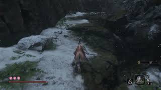 Sekiro  Skip Shichimen Warrior  Reach Bottomless Hole Ashina Depths [upl. by Pinette628]