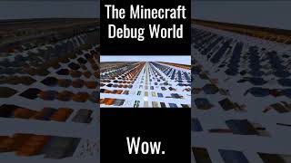 The Minecraft Debug World [upl. by Sutherlan]