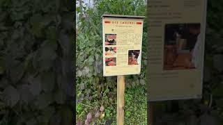 Lehrbienenstand der Krefelder Imker apiary bee bienen garten natur [upl. by Senskell]