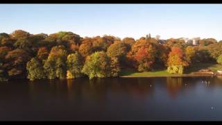 Roundhay Park Lake Leeds with autumn colours [upl. by Ynnaf]