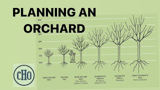 Planning an Orchard  Orientation Rootstocks and Pruning [upl. by Nnaarual]