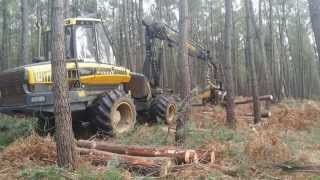 Abatteuse ébrancheuse en forêt de Moulière [upl. by Warfeld]