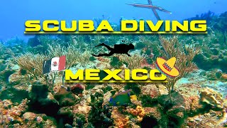 Dive into the Heart of Chankanaab Reef  Cozumel Mexico  Mesmerizing Marine Life SCUBA POV [upl. by Ahsenyt]