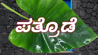 Pathrode  Coastal Karnataka food  pathrode recipe  ಪತ್ರೊಡೆ  Mangalore pathrode [upl. by Waylan430]