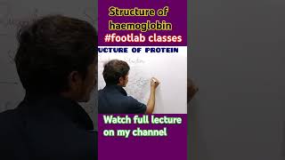 structure of haemoglobin  biomolecules footlab classes Rohit [upl. by Aciret585]