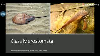 Class Merostomata of Subphylum Chelicerata  Limulus  malayalam explanation [upl. by Eilrahc261]