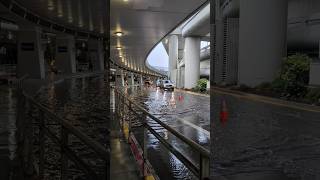 Flooding at SFO due to the recent downpour in the bay area San Francisco International Airport [upl. by Hardi]