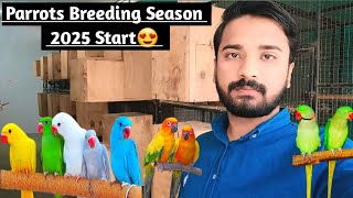 How to Install a Parrots breeding box😍  Breeding season 2025 start🤗 birds parrot petlover [upl. by Htedirem]