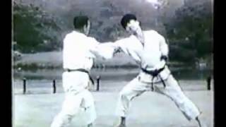 karate kata amp bunkai shotokan old unsu [upl. by Merill]