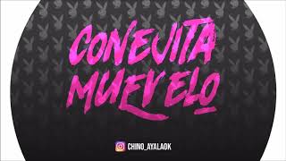 CONEJITA MUEVELO ✘ DJ CHINO AYALA [upl. by Hplodur]