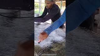 The process of forming fiberglass boats [upl. by Nauqat125]