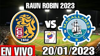 Donde ver Magallanes vs Leones EN VIVO hoy leones del caracas vs navegantes del magallanes lvbp 2023 [upl. by Scibert]