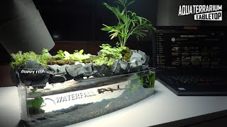 Mini TableTop Waterfall l Plastic ToyBox from DAISO l No Co2No FilterNo Ferts Aquaterrarium [upl. by Burn]