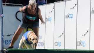 Dock Dogs speed retrieval finals at Clark County Fair [upl. by True]