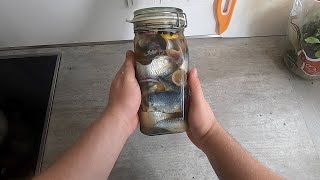 Sill  Swedish pickled herring [upl. by Nordine]