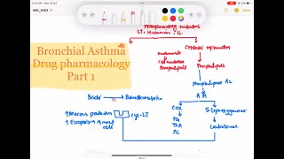 Anti Asthma drug pharmacology part 1 Respiratory 60  First Aid USMLE Step 1 in UrduHindi [upl. by Nwahsaj]