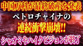 中国経済崩壊 ペトロチャイナ シャオミ ハイクビジョン エネルギー危機 技術革新の停滞 国進民退政策 国際制裁 経済危機 企業破産 エネルギー転換 国際競争力喪失 習近平政権 [upl. by Eirised]