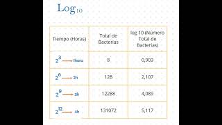 Fases del crecimiento bacteriano [upl. by Lavoie548]