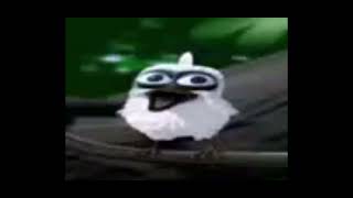 bird screaming meme [upl. by Sprage]