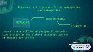 Mechanism of action of methyldopa [upl. by Farny]