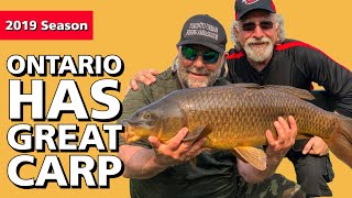 Ontario Has Great Carp Fishing [upl. by Iphigeniah761]