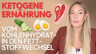 Erfahrungsbericht Zwei Wochen ketogene Ernährung I Zyklus Hunger Körpergeruch [upl. by Bradney]