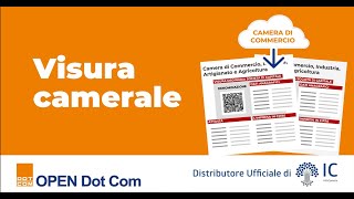 Visura Camerale  Cosè quanto costa e come ottenerla [upl. by Atirac]