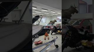 Moose enters the garage and breaks the BMW😱 moose elk reels bmw [upl. by Radford]