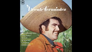 Vicente Fernández  Hermoso Cariño Letra [upl. by Nosnej]