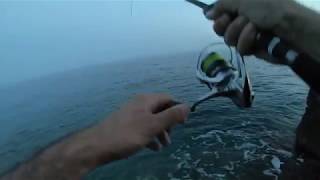 Barracuda spinning on Duo Tide Minnow Slim 140 Flyer [upl. by Efthim]